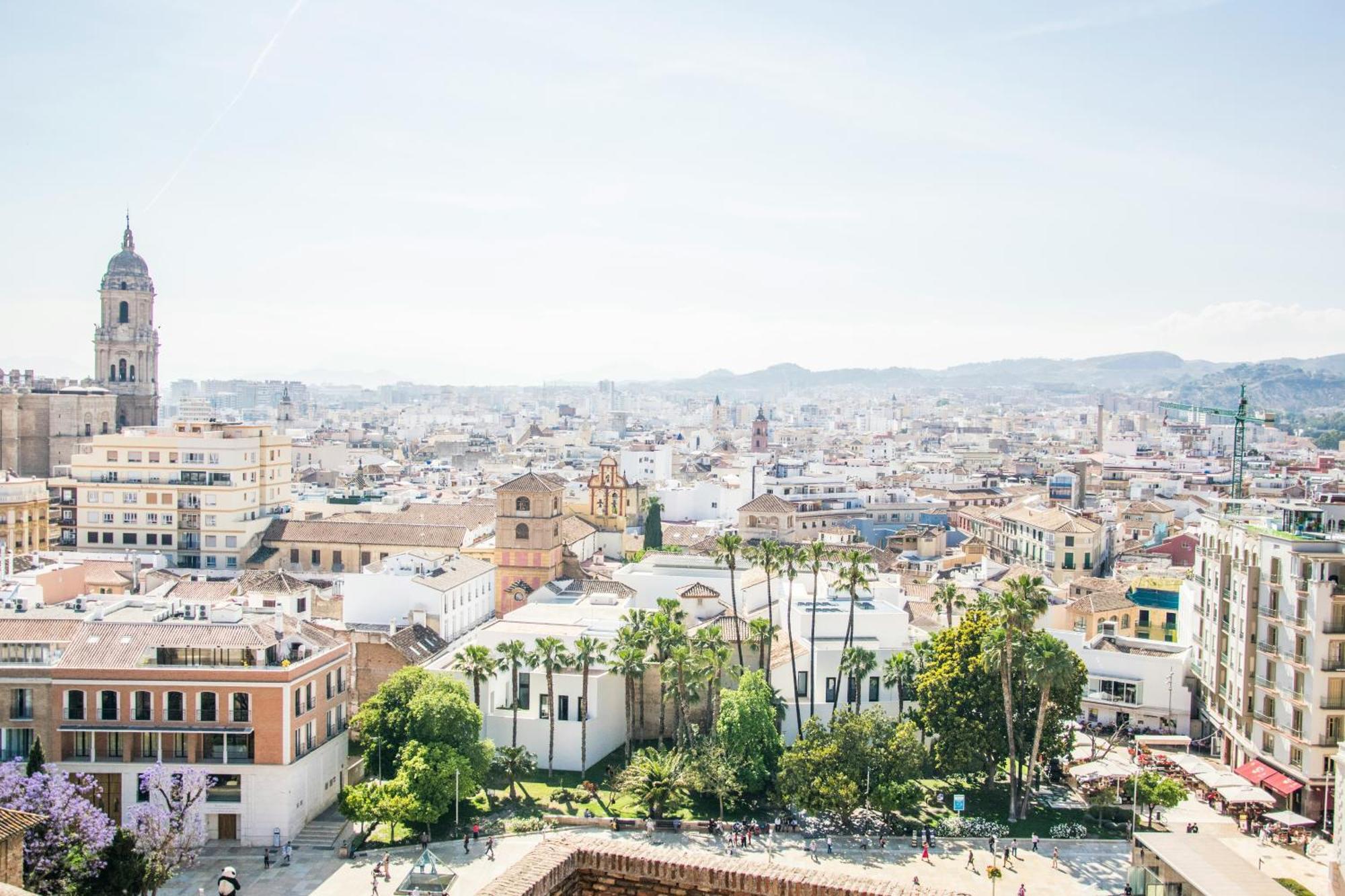 Homely Felix Saenz Malaguese * Malaga